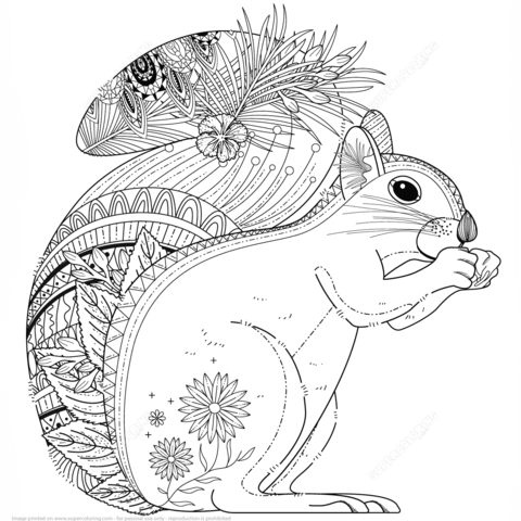 Squirrel Zentangle Coloring Page